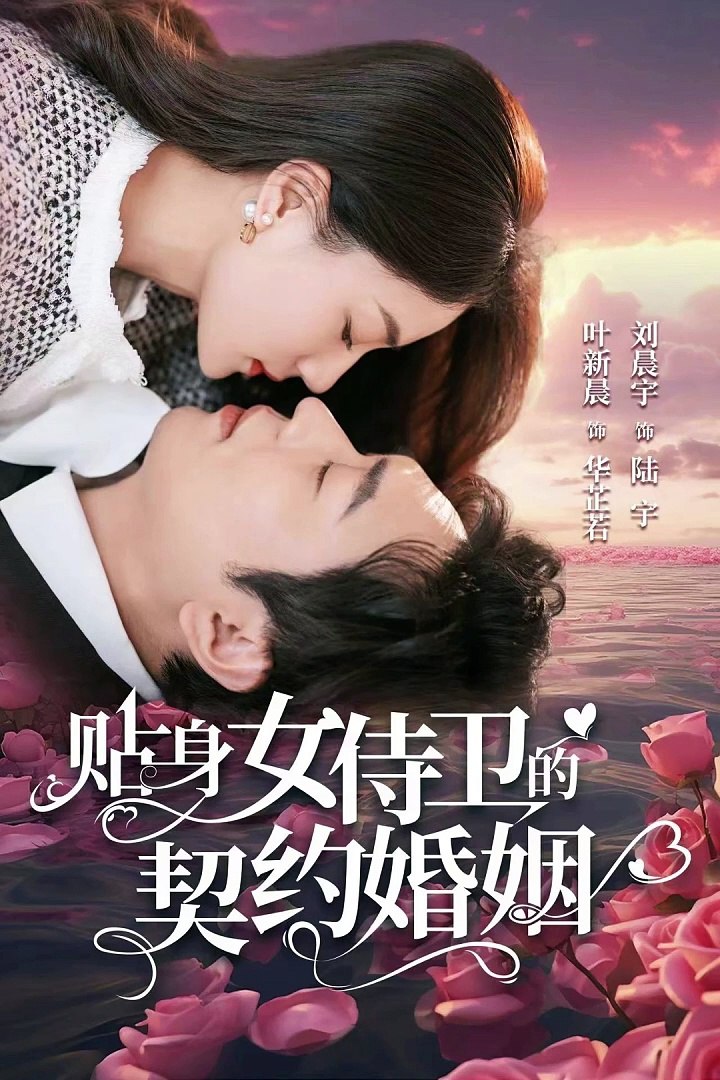 贴身女侍卫的契约婚姻封面图