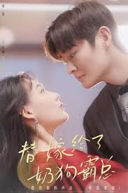 替嫁给了奶狗霸总封面图