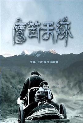 鹰笛天缘封面图