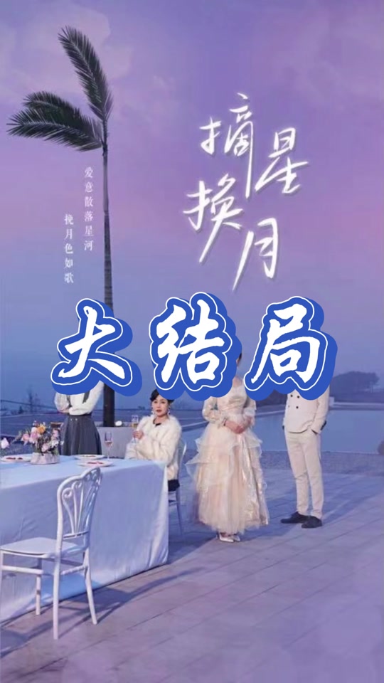 摘星换月封面图