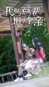 我和总裁相了个亲封面图