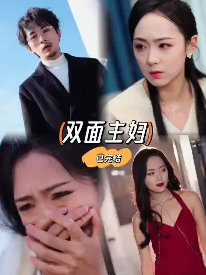 双面主妇封面图