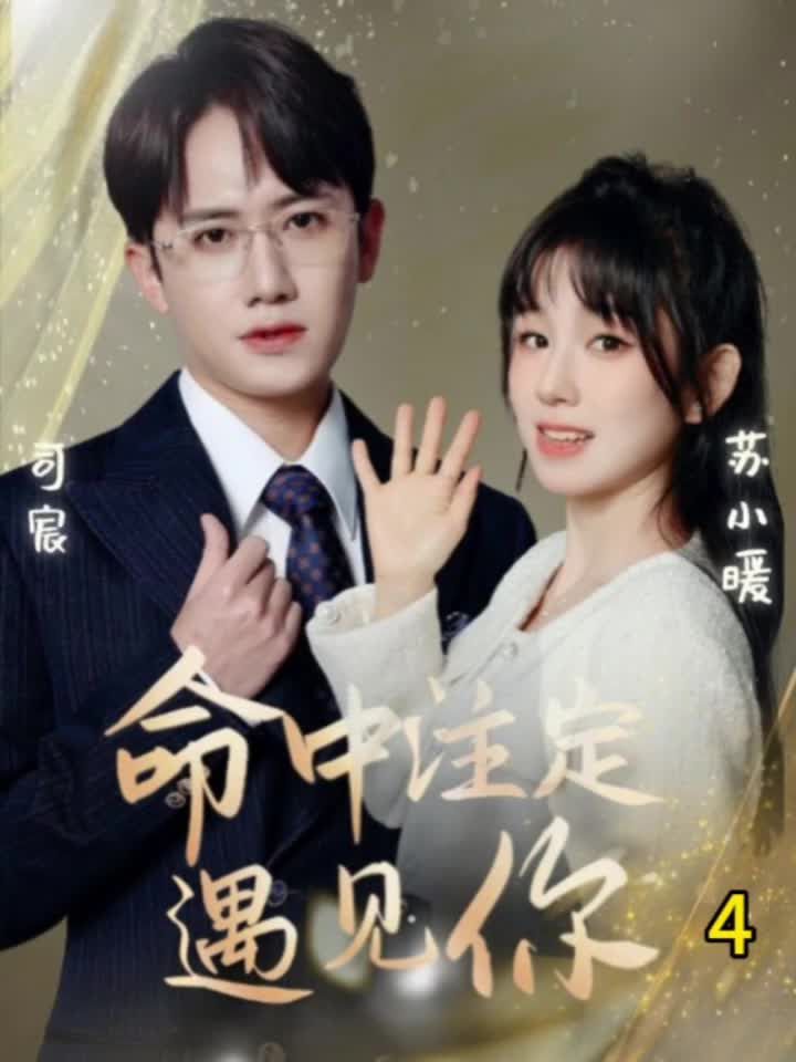 命中注定遇见你短剧封面图