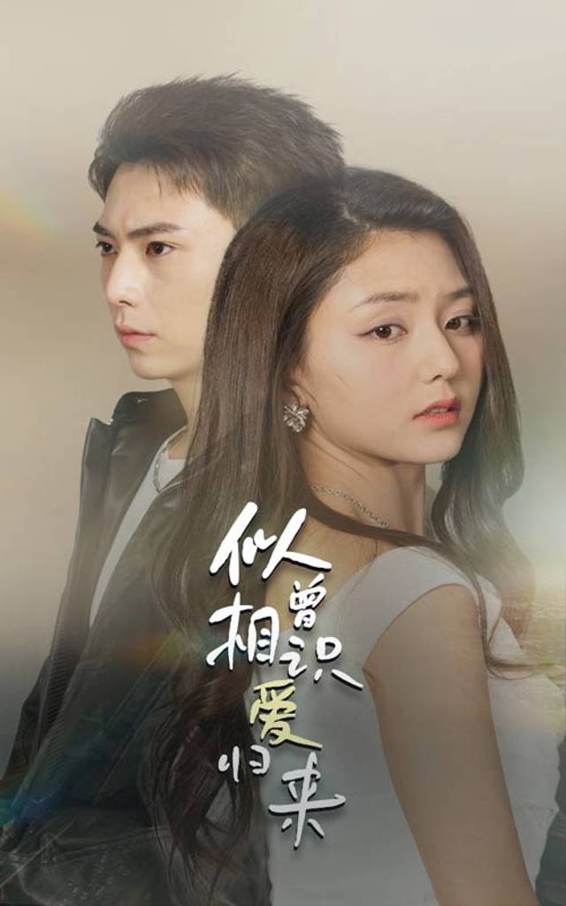 似曾相识爱归来封面图