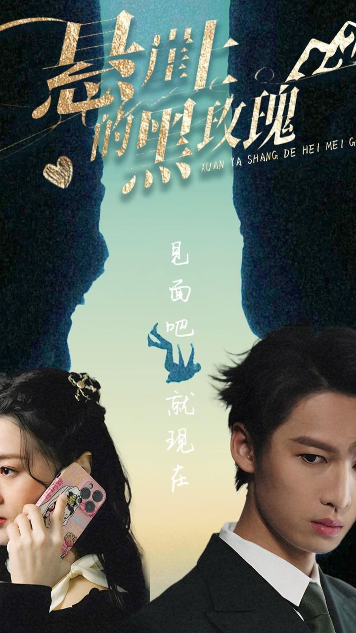 悬崖上的黑玫瑰封面图