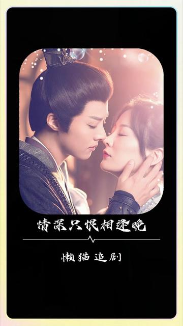 情深只恨相逢晚封面图