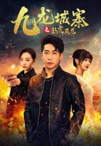 九龙城寨之卧虎藏龙封面图