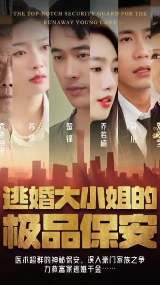 逃婚大小姐的极品保安封面图