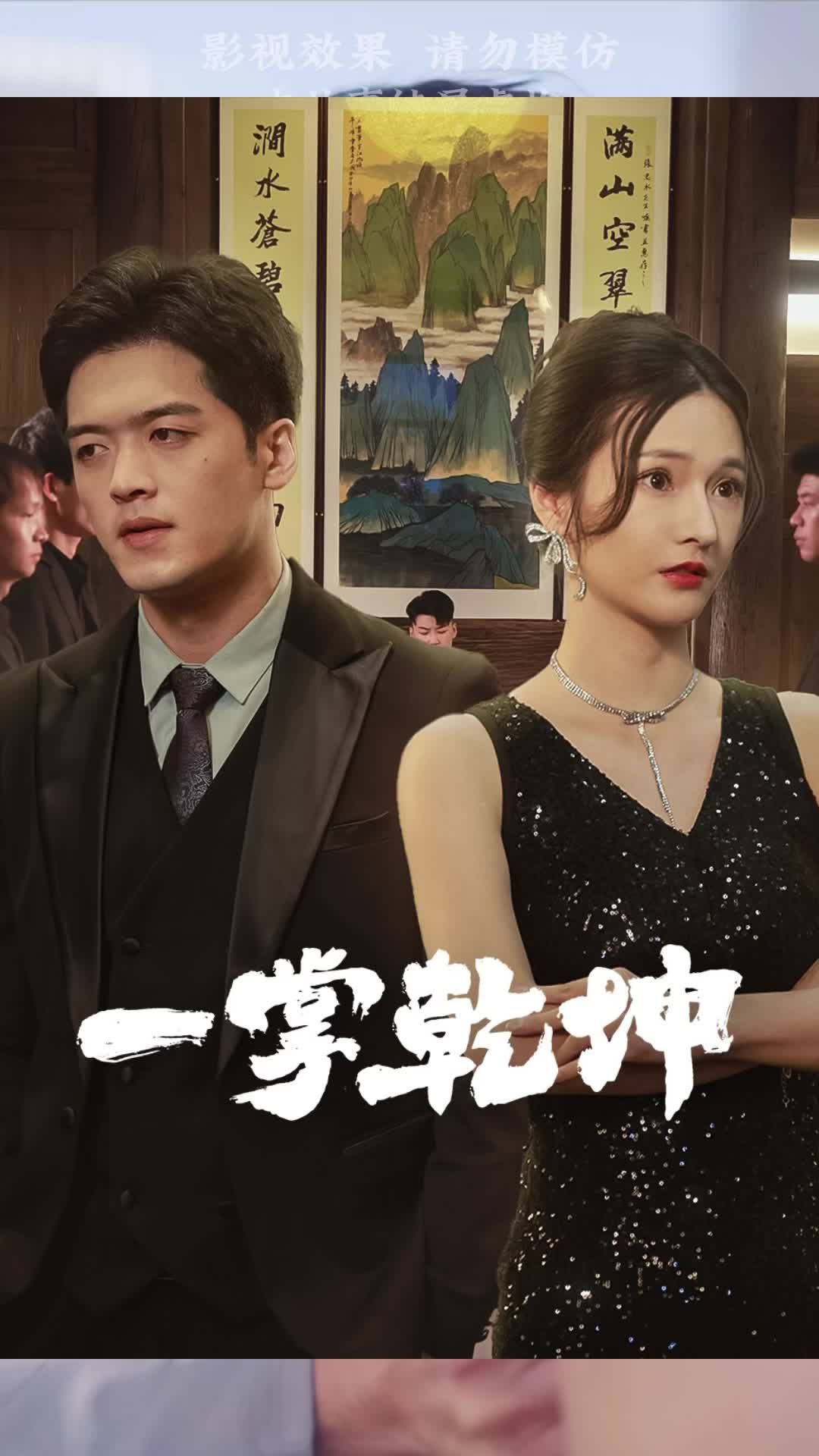 一掌乾坤封面图