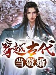 穿越古代当赘婿封面图