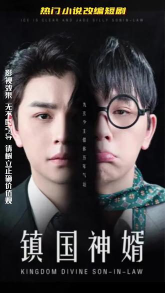 镇国神婿封面图