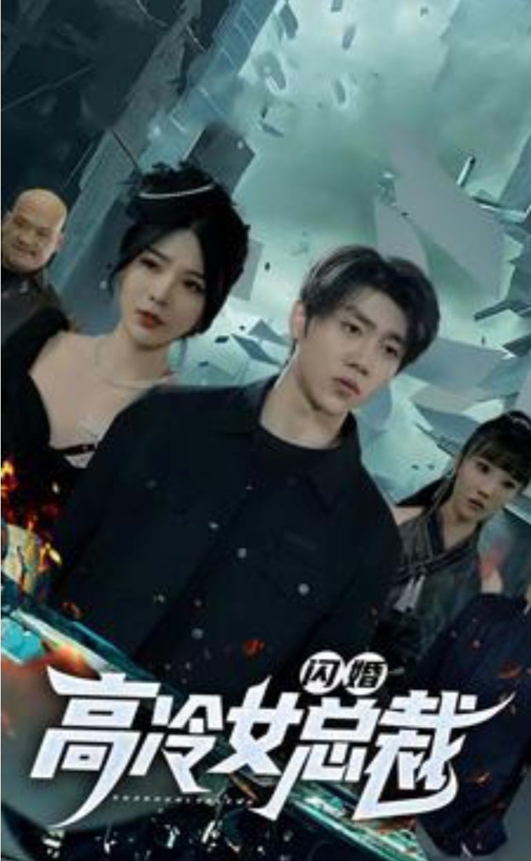 闪婚高冷女总裁封面图