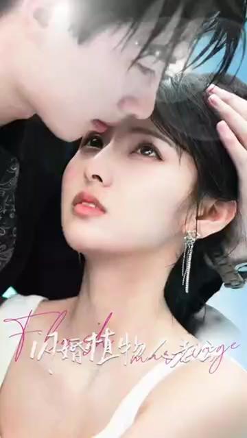 闪婚植物人老公封面图