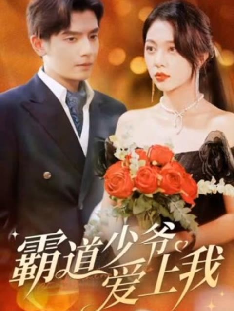 霸道少爷爱上我封面图