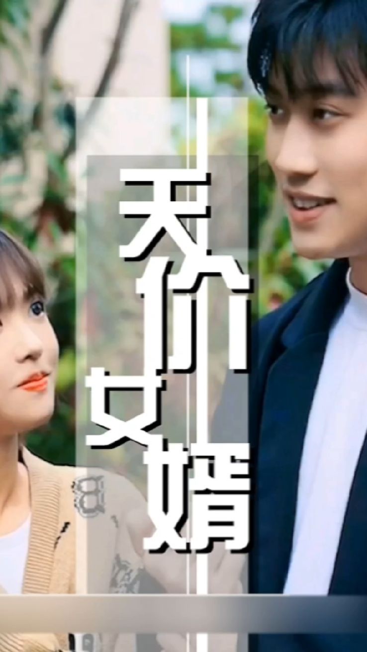 天价女婿封面图