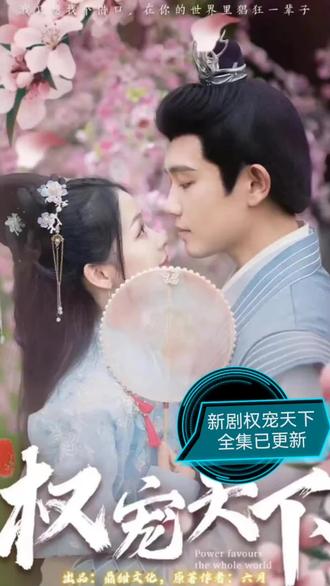 权宠天下封面图