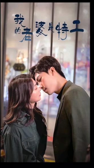 我的老婆是特工封面图