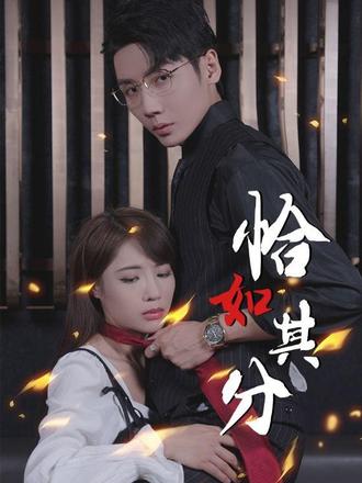 恰如其分封面图