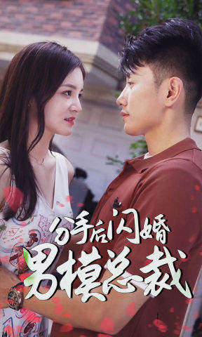 分手后闪婚男模总裁封面图