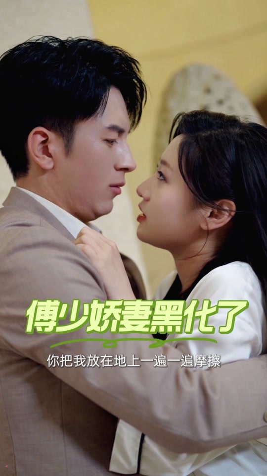 傅少娇妻黑化了封面图