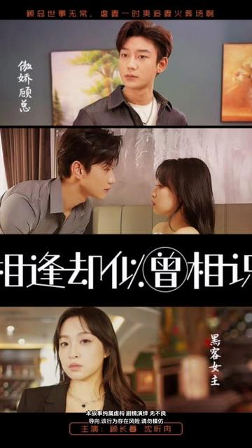 相逢却似曾相识封面图