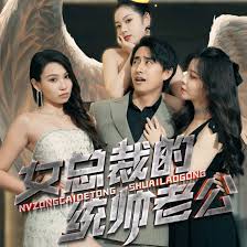 女总裁的统帅老公封面图