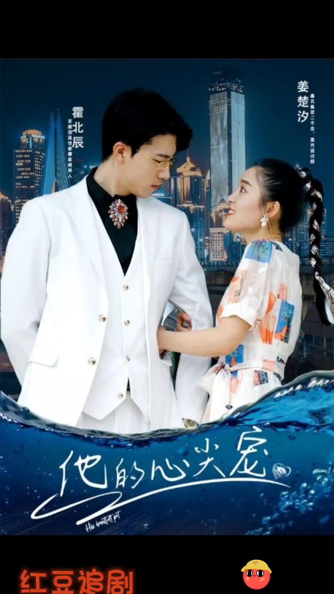 他的心尖宠封面图