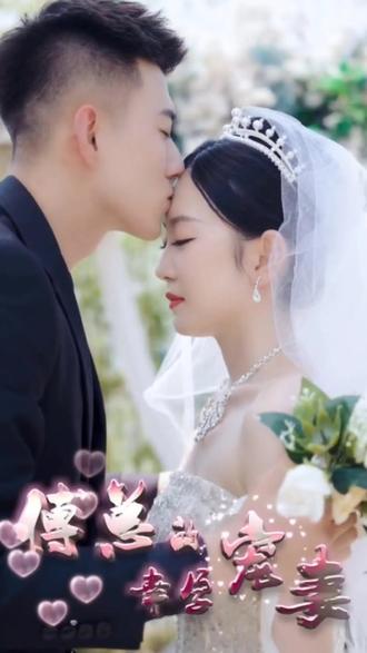 傅总的幸孕宠妻封面图