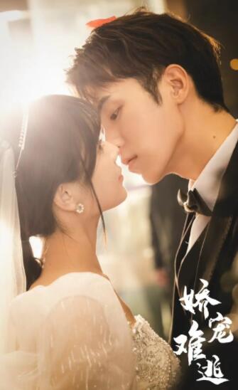 娇妻难逃封面图