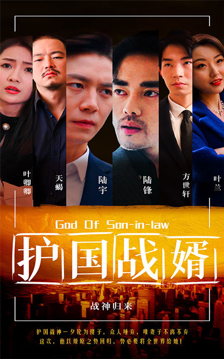 护国战婿封面图