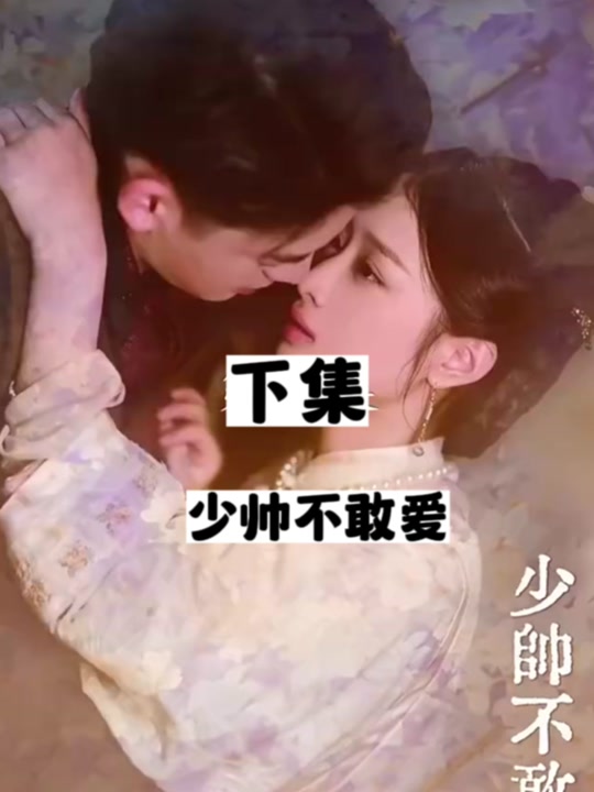 少帅不敢爱封面图