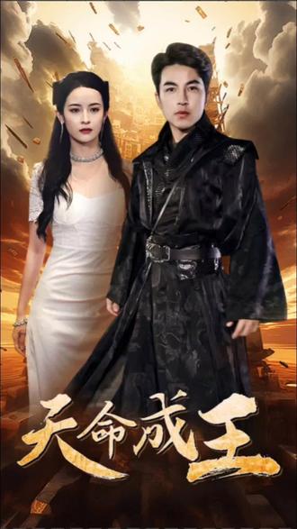 天命成王封面图