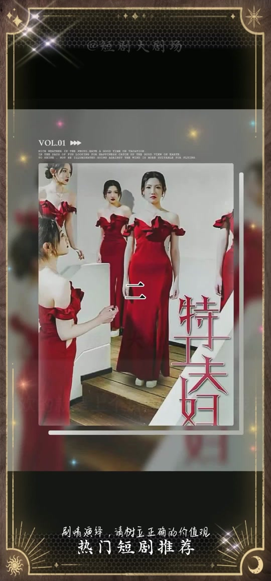 特工夫妇封面图