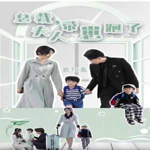 总裁，夫人带崽跑了封面图