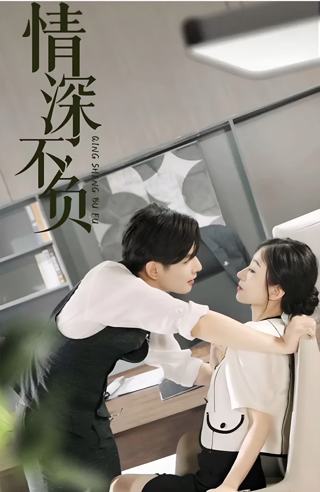 情深不负封面图