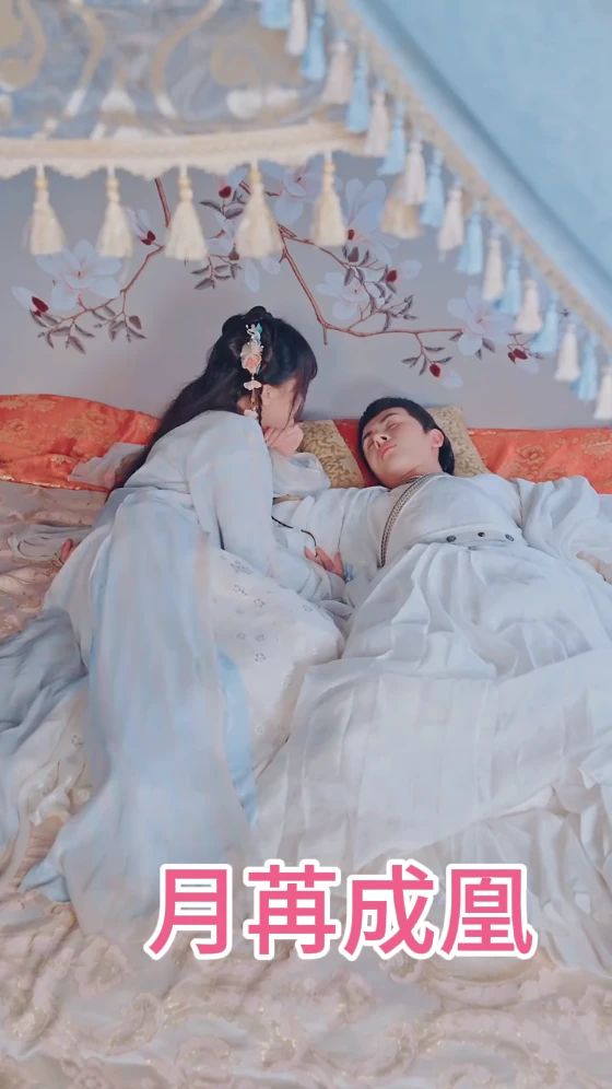 月苒成凰封面图