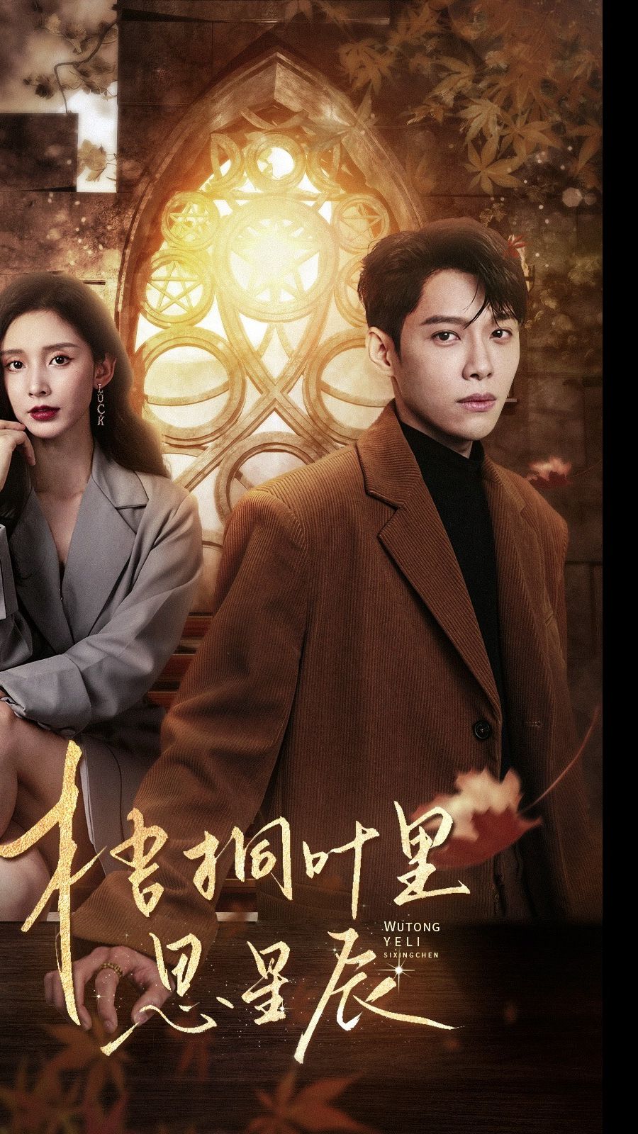 梧桐叶里思星封面图