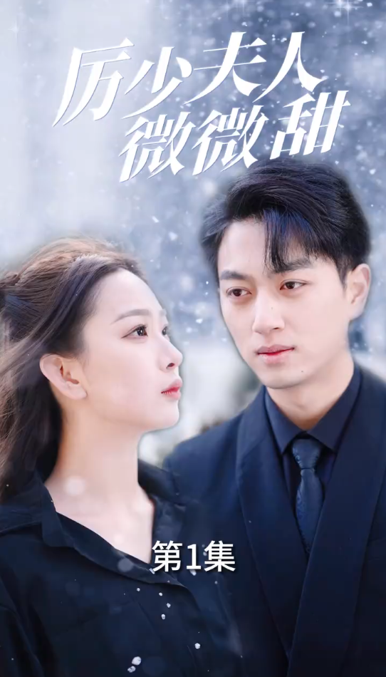 厉少夫人微微甜封面图