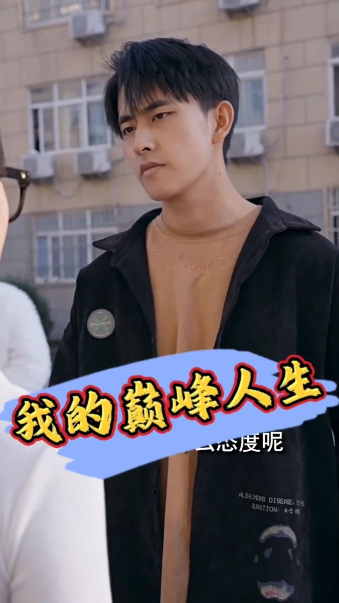 我的巅峰人生封面图