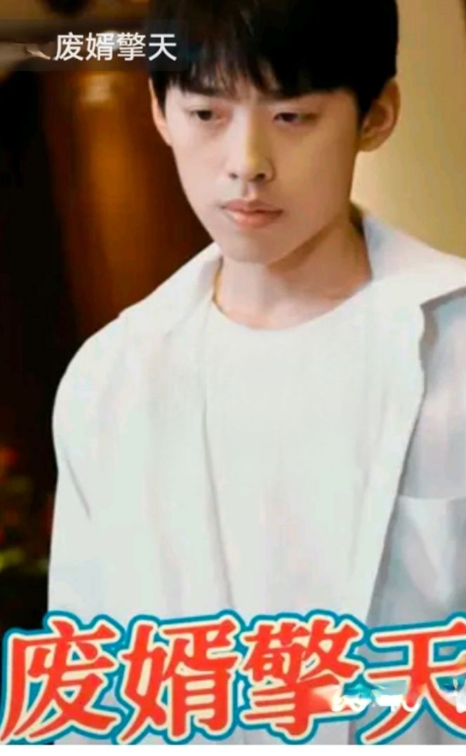 废婿擎天封面图