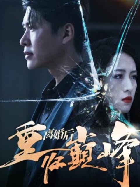 离婚后重回人生巅峰封面图