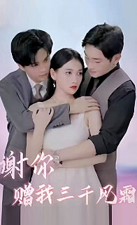 谢你赠我三千风霜封面图