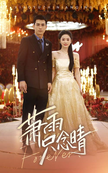 萧雨只念晴封面图