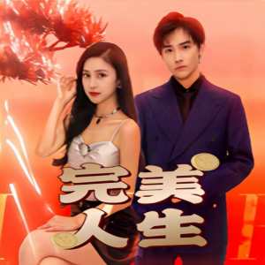 完美人生封面图