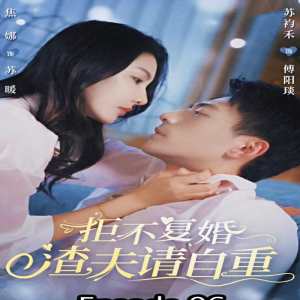 拒不复婚，渣夫请自重封面图