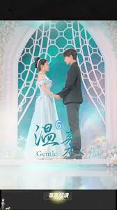 温柔柳甯版封面图