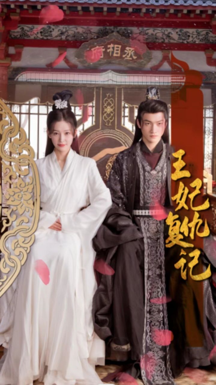 王妃复仇记封面图