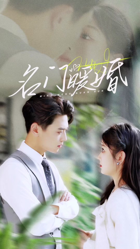 名门暖婚封面图