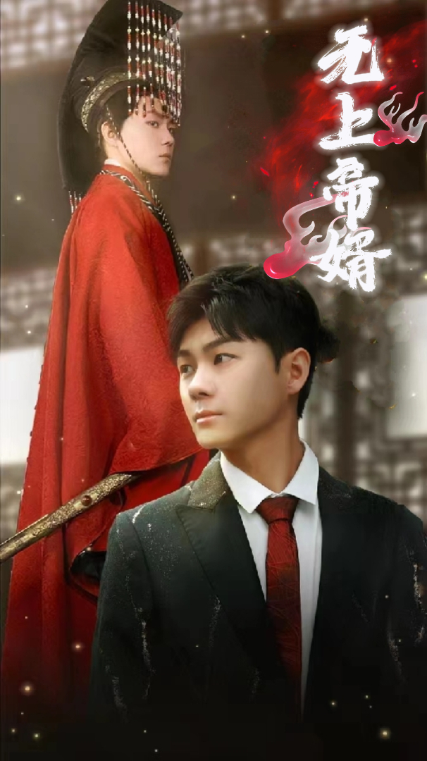 无上帝婿封面图