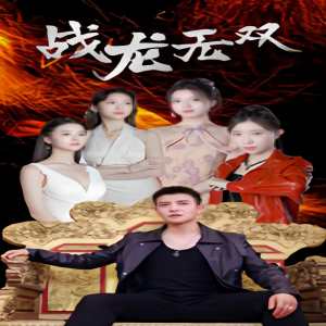 战龙无双封面图